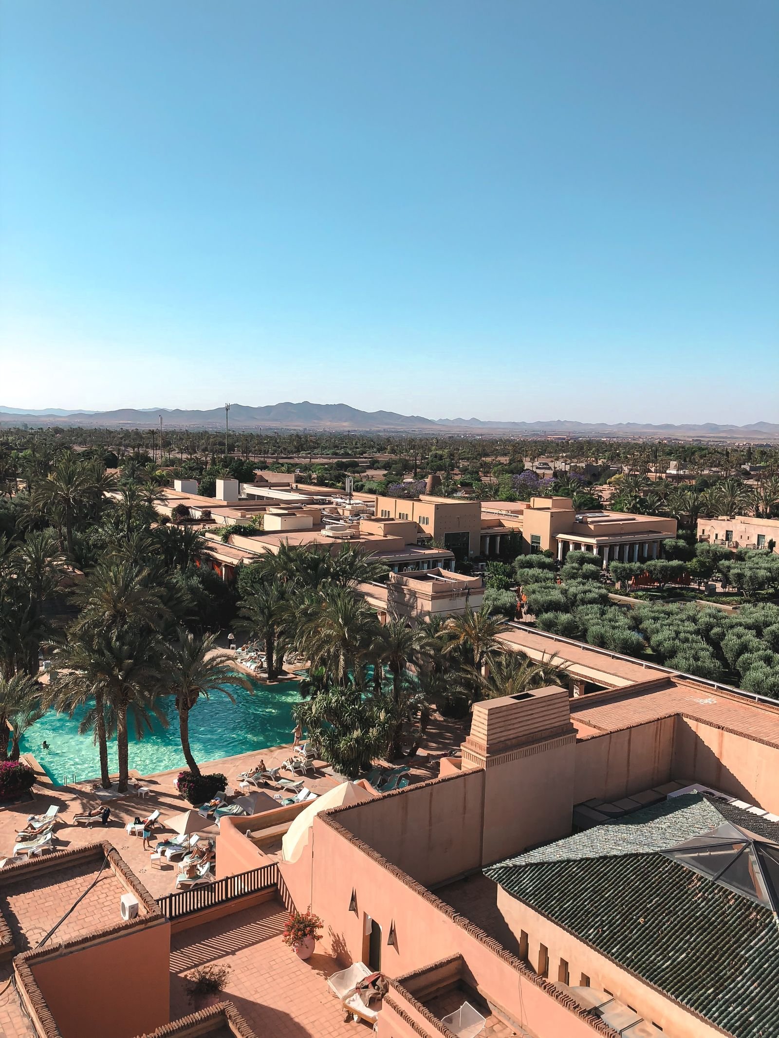 Palm oasis resort pool in Marrakesh